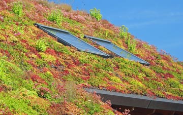 Fochabers living roof systems